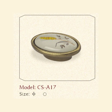 CS-A17